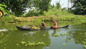 Magnificient-Kerala-Header