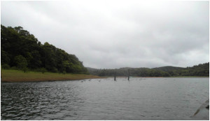 thekkady-header